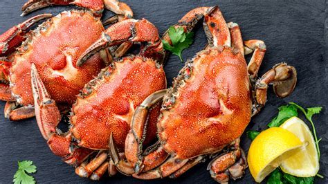 Are Crab Legs High in Protein and Why Do They Taste Like the Ocean's Secret Whisper?