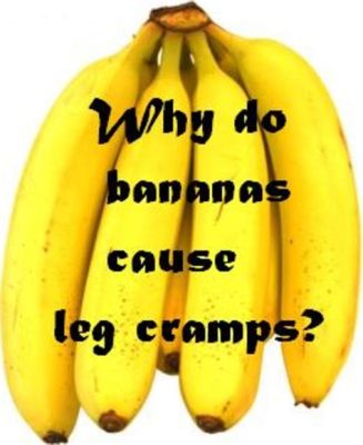 Does Leg Day Help with Running? And Why Do Bananas Fear Treadmills?