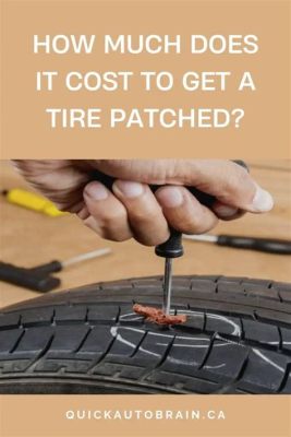 How Much Does It Cost to Get a Tire Patched, and Why Do Birds Suddenly Appear Every Time You're Near?