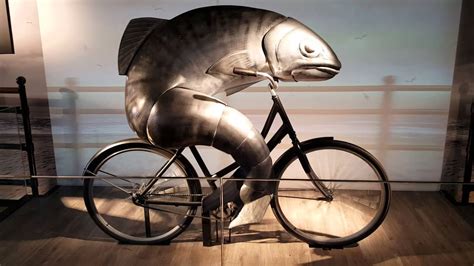 Is a Motorcycle Faster Than a Car? And Can a Fish Ride a Bicycle?