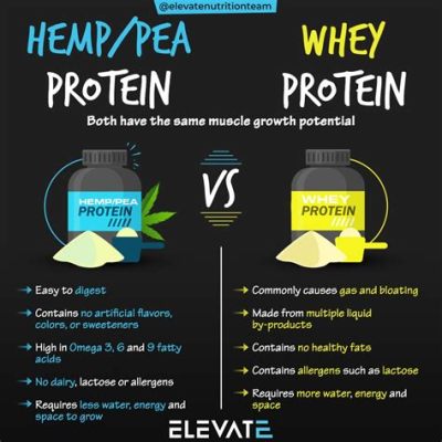 Is Plant Protein Better Than Whey Protein? And Why Do Broccoli Lovers Dream of Protein Shakes?