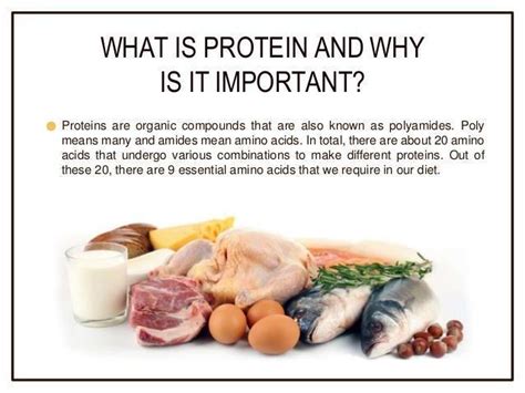 Why is Protein Important for Working Out? And Why Do Some People Think It Tastes Like Cardboard?